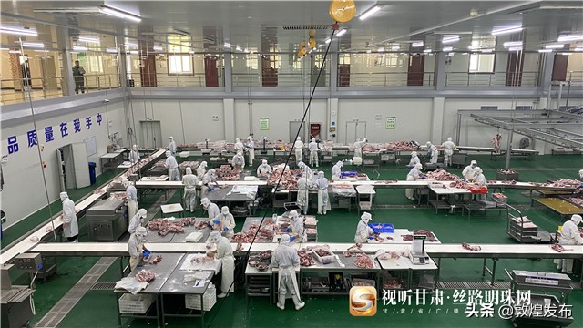 脱贫攻坚短视频央视网,环县脱贫攻坚工作