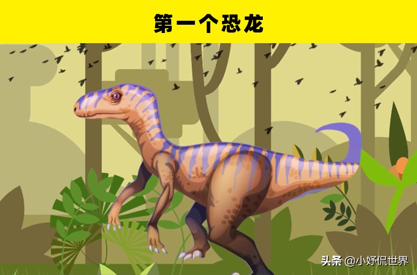 10个至今未被解开的恐龙之谜,关于恐龙的一切资料和恐龙的来源