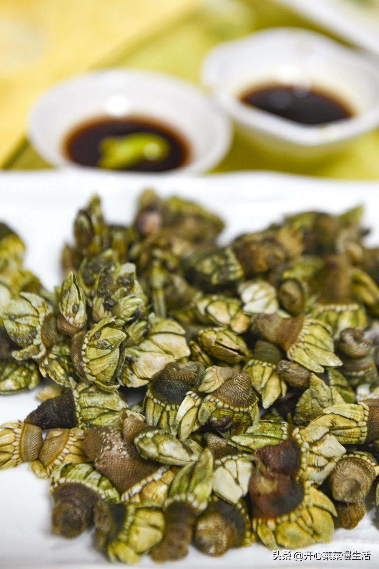 五一适合去哪旅游广东汕尾,五一去汕尾好玩地方