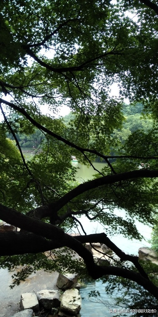 无锡的惠山古镇在哪里,惠山脚下的惠山古镇