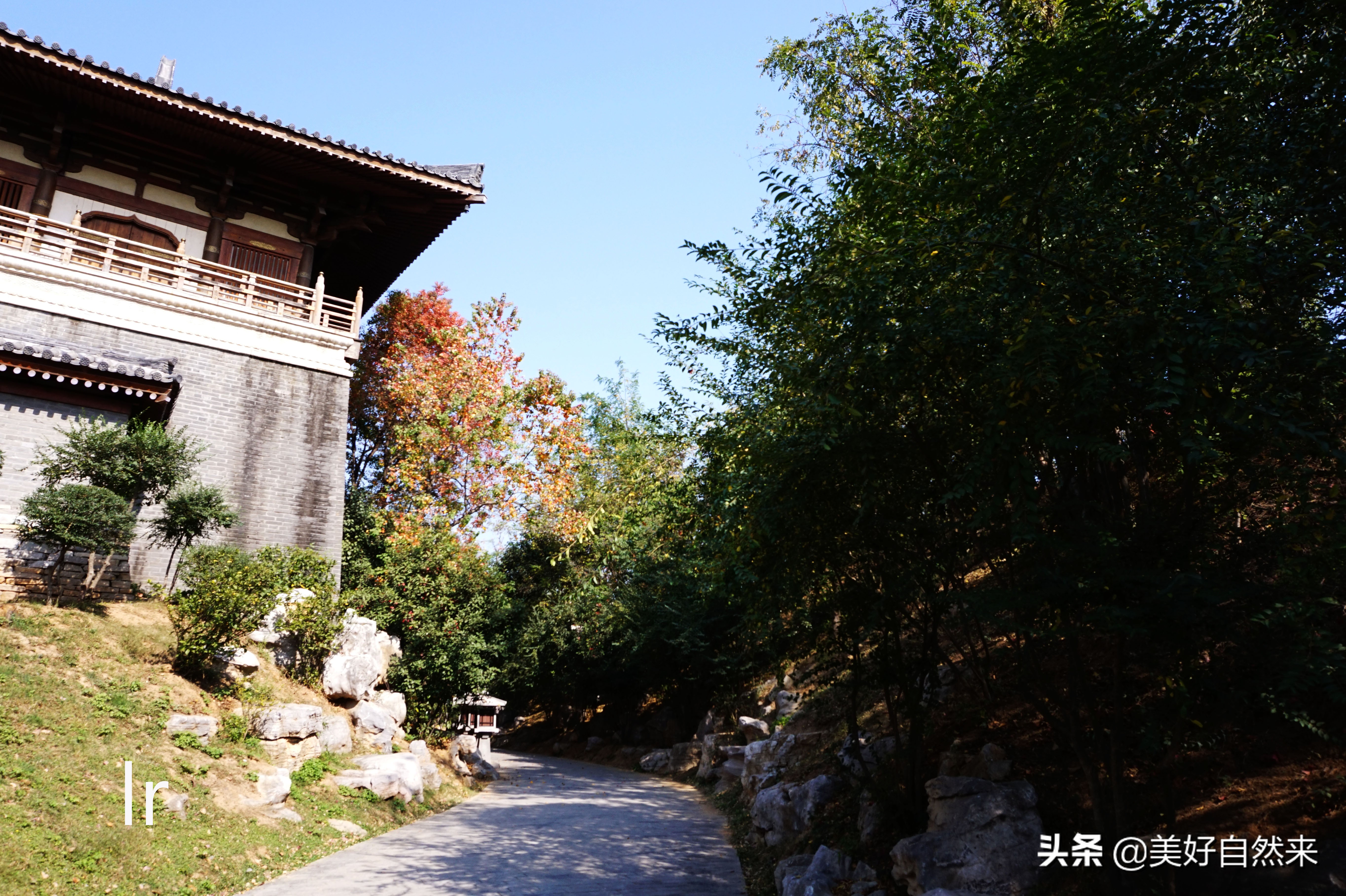 玉环发展困境,玉环现在为什么这么难玩