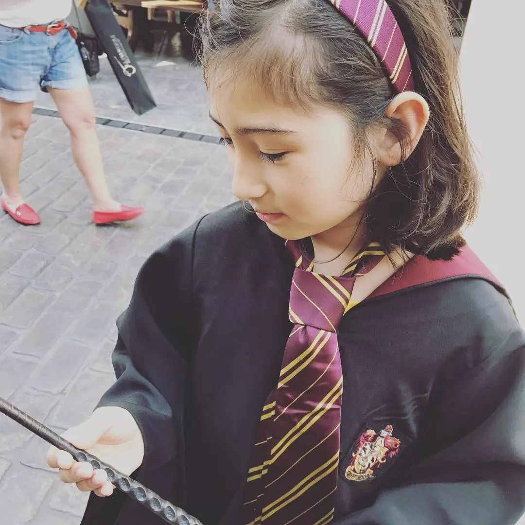 日本十大游乐场排名,日本两大主题乐园