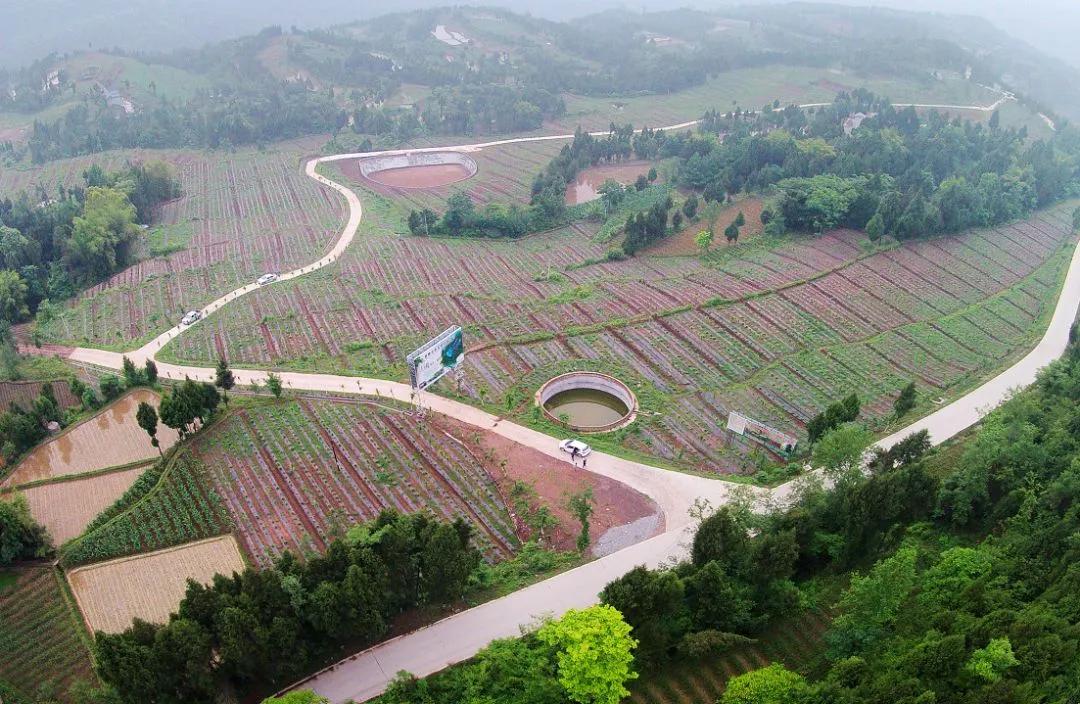 成渝经济区巴中,成渝地区双城经济圈规划纲要巴中