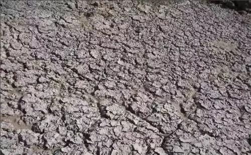 胃酸过多吐酸水怎么办,胃酸过多怎么办教你一招搞定