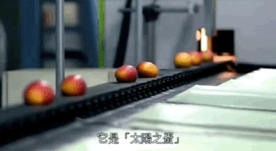 吃一口得花一个月工资？这种隐形炫富潮流值得追吗？