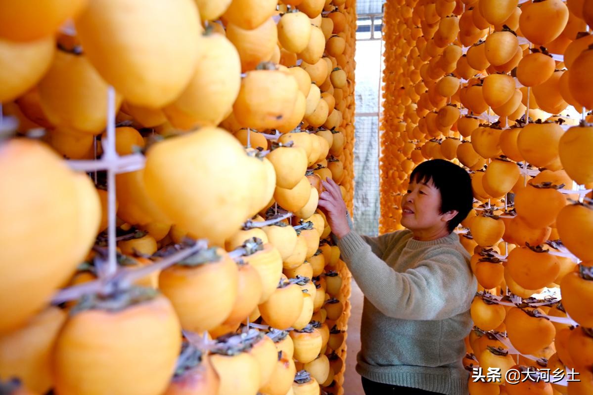 儿子从大企业辞职回乡卖“金饼”,父亲脸上笑开花:一年挣几十万