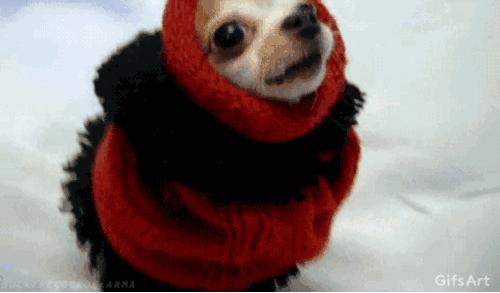 丑秋裤,又厚又丑的秋裤