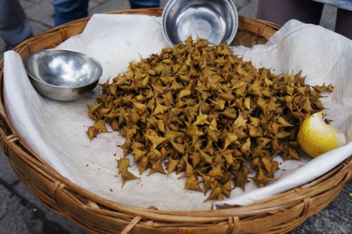 风波不信菱枝弱整首诗意思,风波不信菱枝弱全文