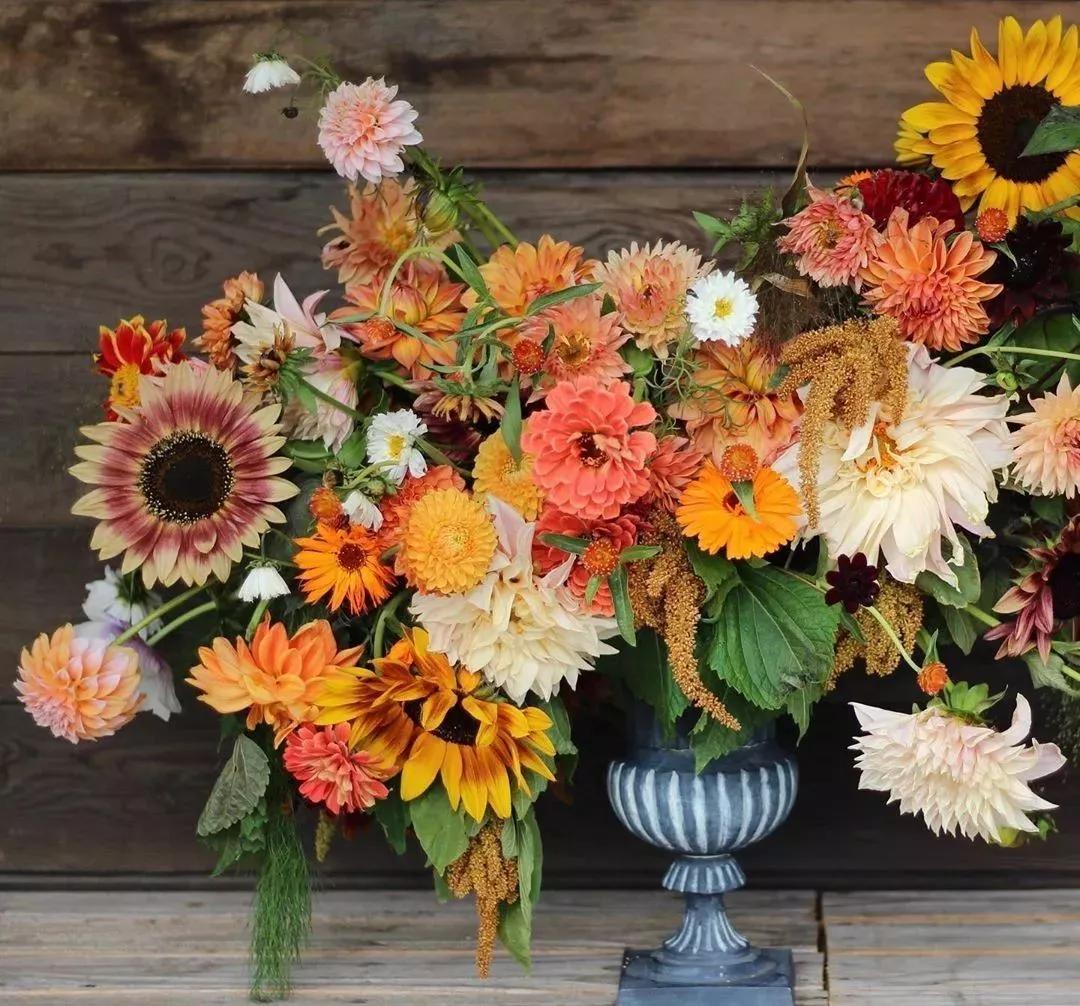 花材不剪枝如何养护,花材不用换水养护方法大全