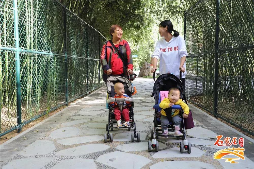 四十年前石家庄街景视频,石家庄40年