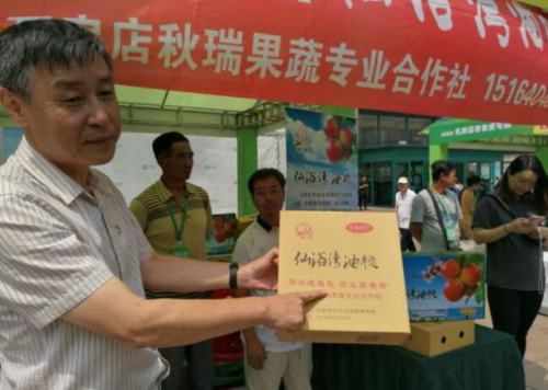 大连仙浴湾油桃,湖北仙浴湾油桃