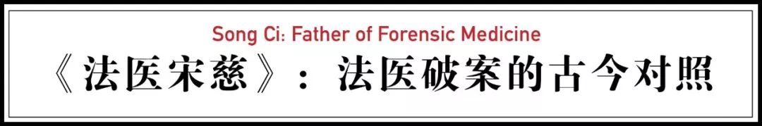 央视重口法医纪录片,网友直呼看不过瘾