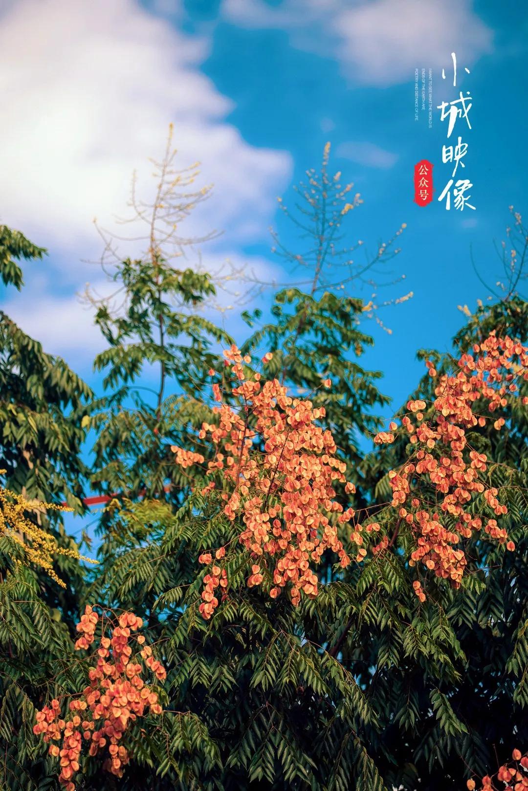 剑阁哪些地方历史悠久,剑阁县的简介