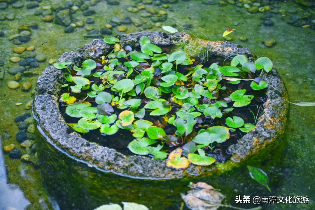 南漳板桥丽蓝民宿,南漳古寨附近的民宿