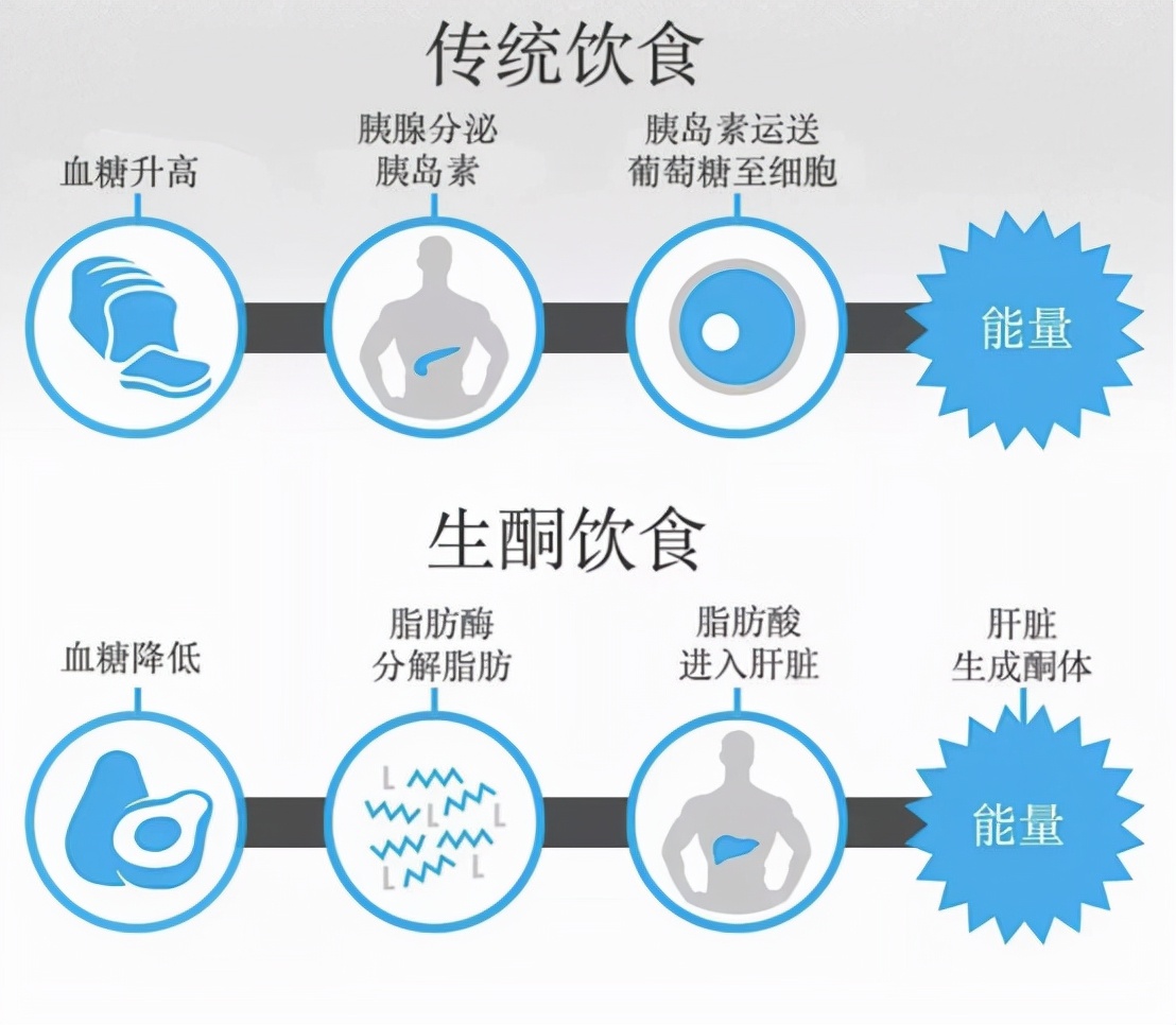 盘点热门减肥方法,盘点真实有效的减肥方法