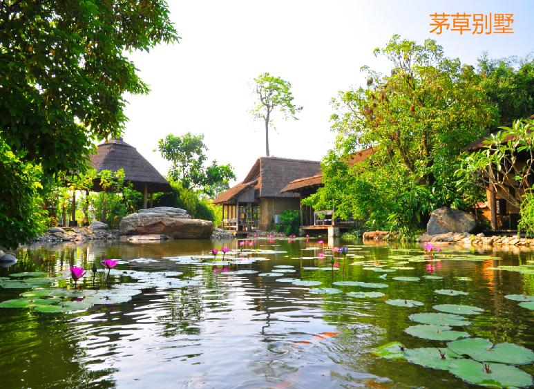 湛江一日游最佳景点湛江特呈岛,特呈岛湛江旅游攻略