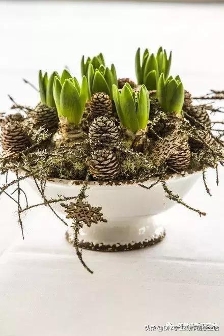 坚果壳吃完不要扔垃圾桶,坚果果壳做手工