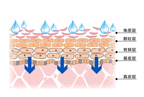 先破后立原理的美容仪有哪些,微针一般治疗以后多久恢复