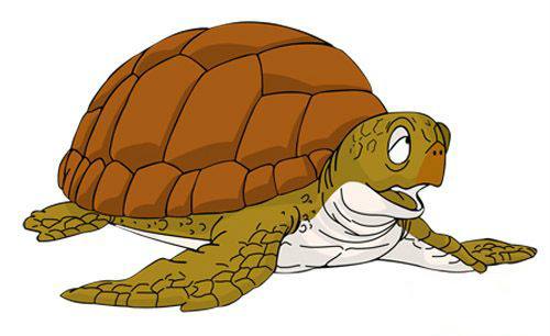 海洋千年古巨龟,世界上真正的千年海龟