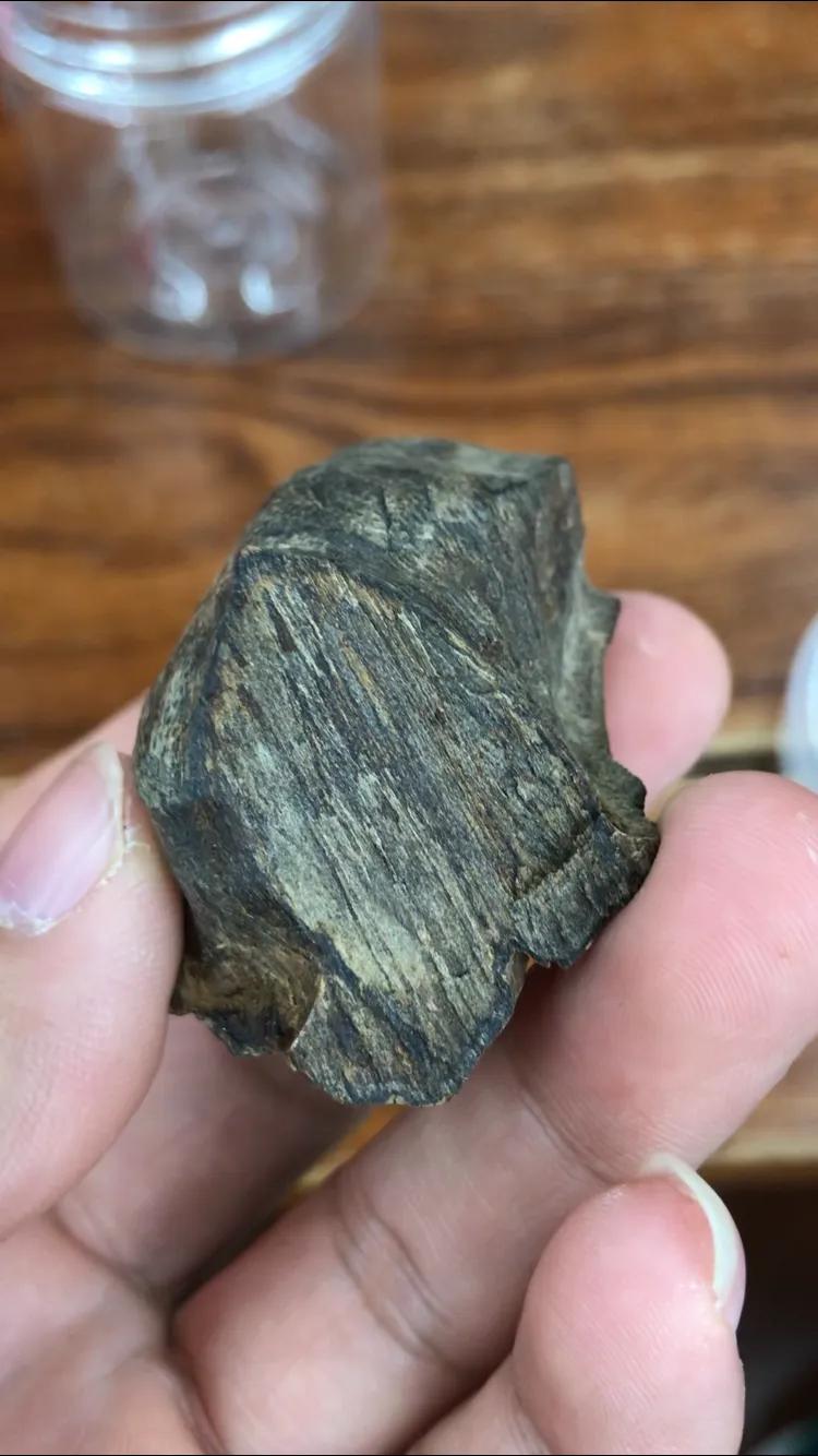 怎么简单科普沉香,初学者看沉香的门道