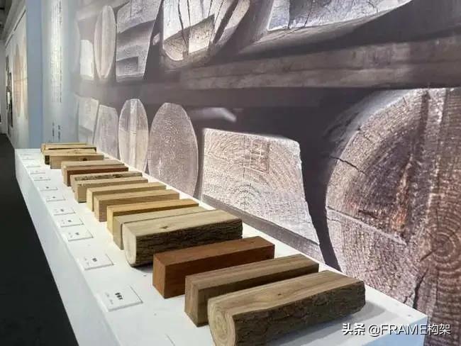 2020东京奥运会体育场设计,东京奥运会国立竞技场设计