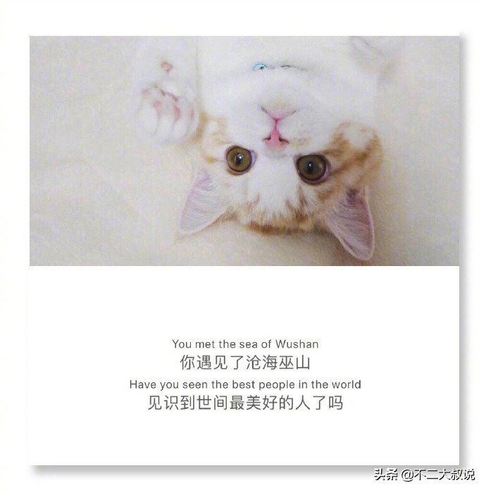 英汉互译的深情句子,中英文唯美爱情句子