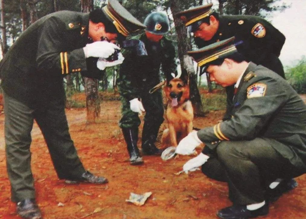 陕西大案解密,大案解密10大杀人狂魔