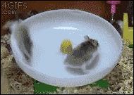 最简单了解内卷,三分钟了解资讯