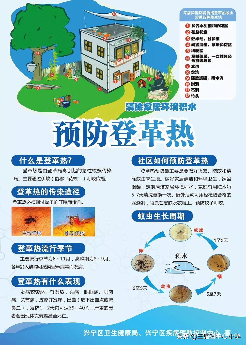 防蚊灭蚊预防登革热漫画,防蚊灭蚊预防登革热周记