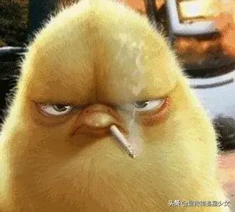 舒淇冯德伦撒糖样子,舒淇冯德伦