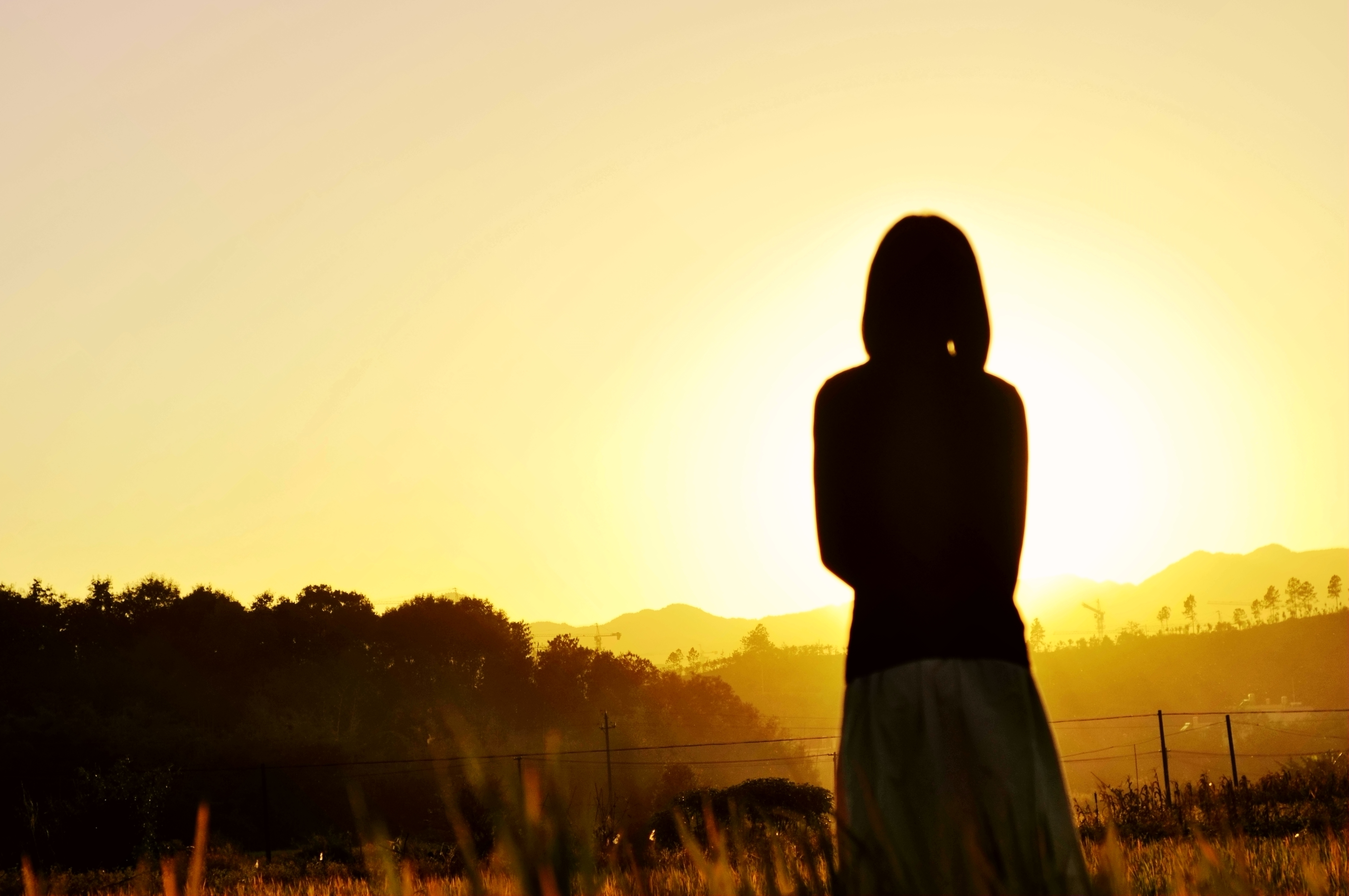 农业从来都不是一个简单的行业,做农业不赚钱