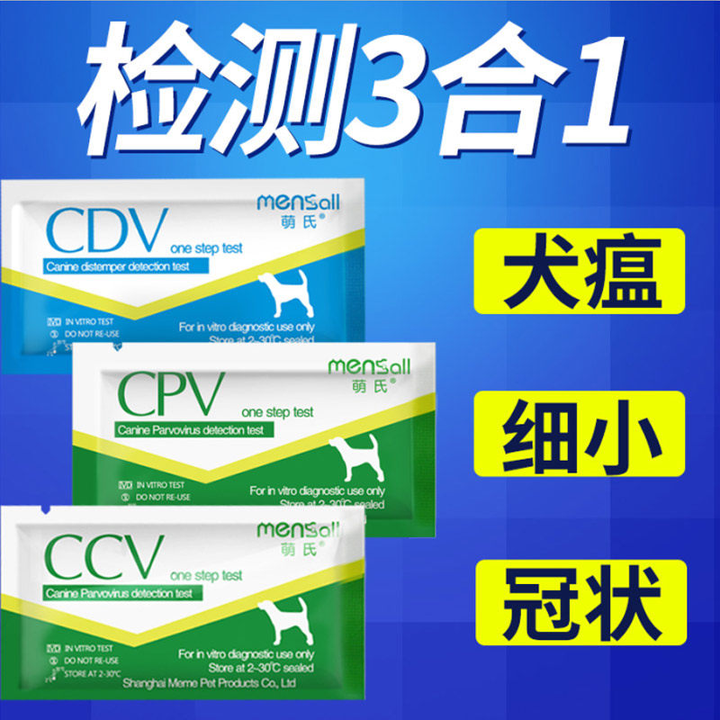 怎么挑选健康泰迪幼犬,怎么挑选健康的泰迪幼犬