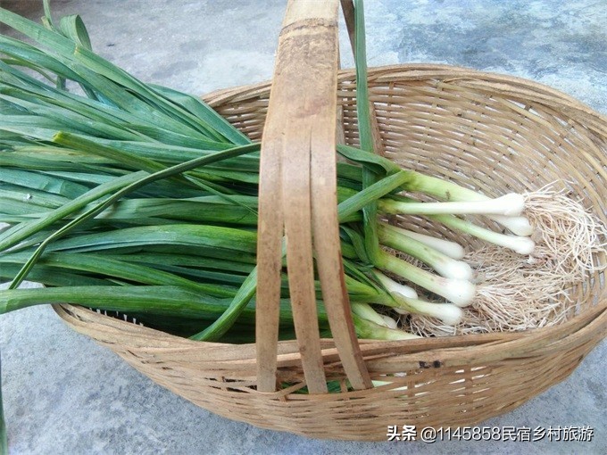 安徽省黟县宏村景区听雨楼客栈,宏村栖梧旅行精选徽派景观民宿