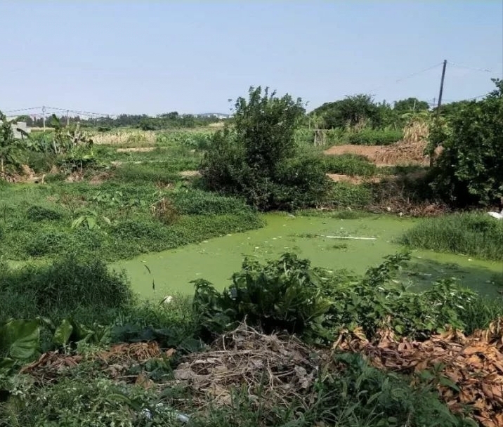 农村鱼塘为什么不能养鱼,农村的鱼塘为什么不用换水