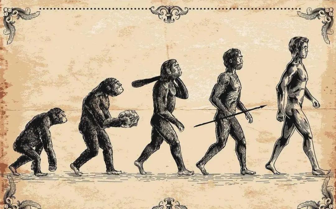 《疯狂人类进化史》:男人偏爱白皮肤女人的终极原因是什么