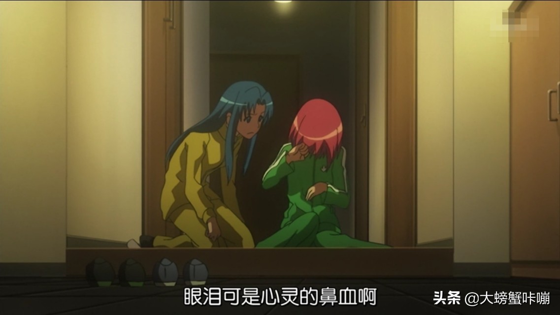 龙与虎番剧,龙与虎续作