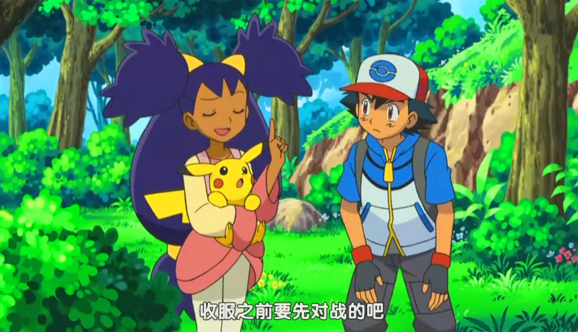 精灵宝可梦2024年最新动画,24年会出新的精灵宝可梦动画片