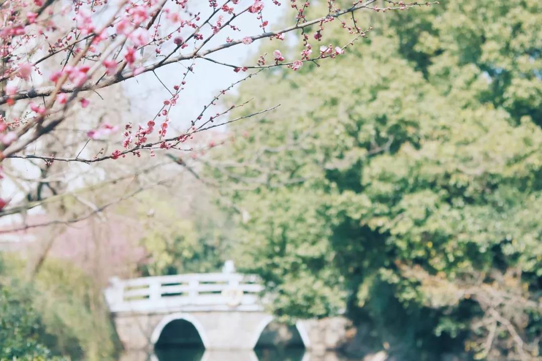 华东师范大学的计算机科学,华东师范大学的计算机科学与技术