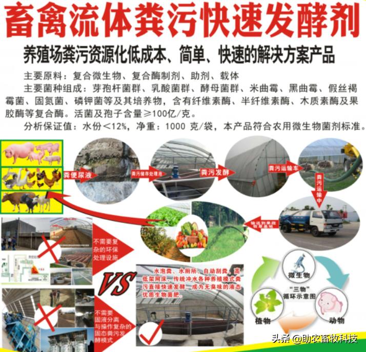 鸡粪有机肥除臭最有效的方法,鸡粪怎么发酵做养花肥料