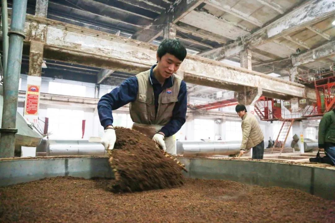 茅台真的很好喝吗,茅台真的香吗