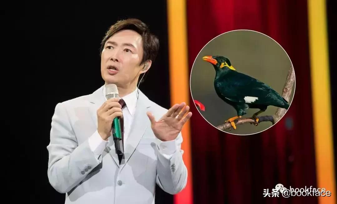 47年,“嘿嘿嘿”的污妖王要走了。有些人看着越不正经,越是深情