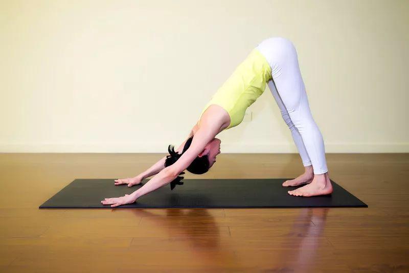 练下犬式的正确方法,下犬式对健康的好处