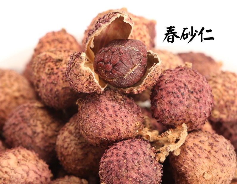 认识中药砂仁,砂仁的功效与作用