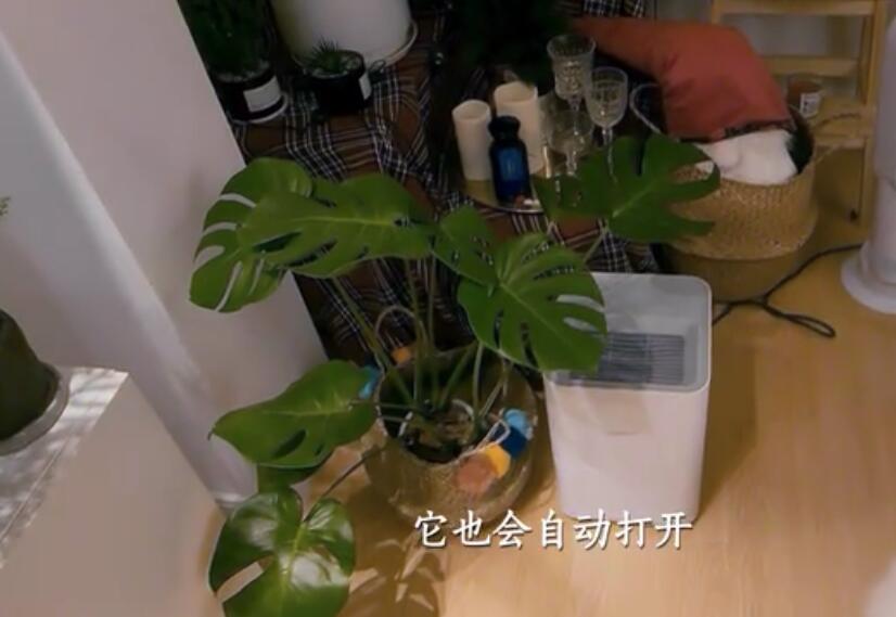 85后小姐姐改造房子,85后的装修小姐姐