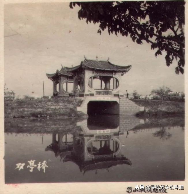 这个网红记录片,告诉你台山改革前不为人知的一面