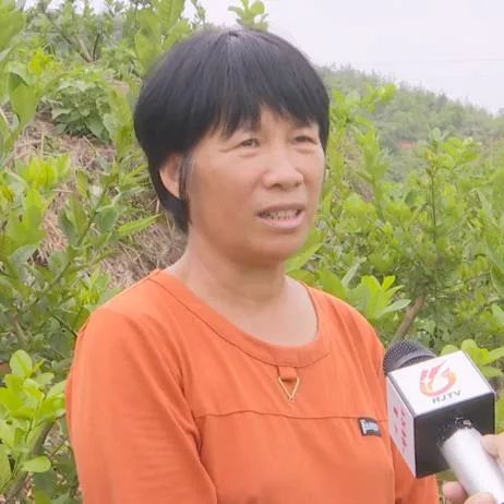 县妇联创业贷款工作半年总结,妇联创业贷款简报