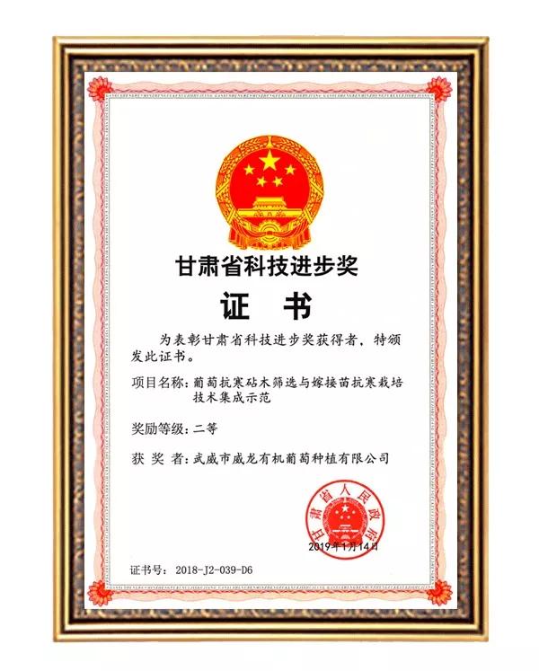 威龙干白葡萄酒热销第一名,威龙顶级葡萄酒