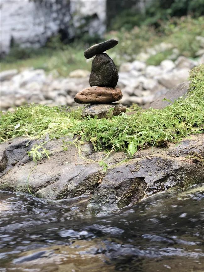 服装设计+花艺设计，只爱百分百纯天然