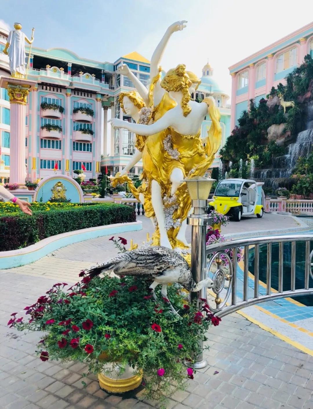 阿莲的聊天,阿莲聊短视频