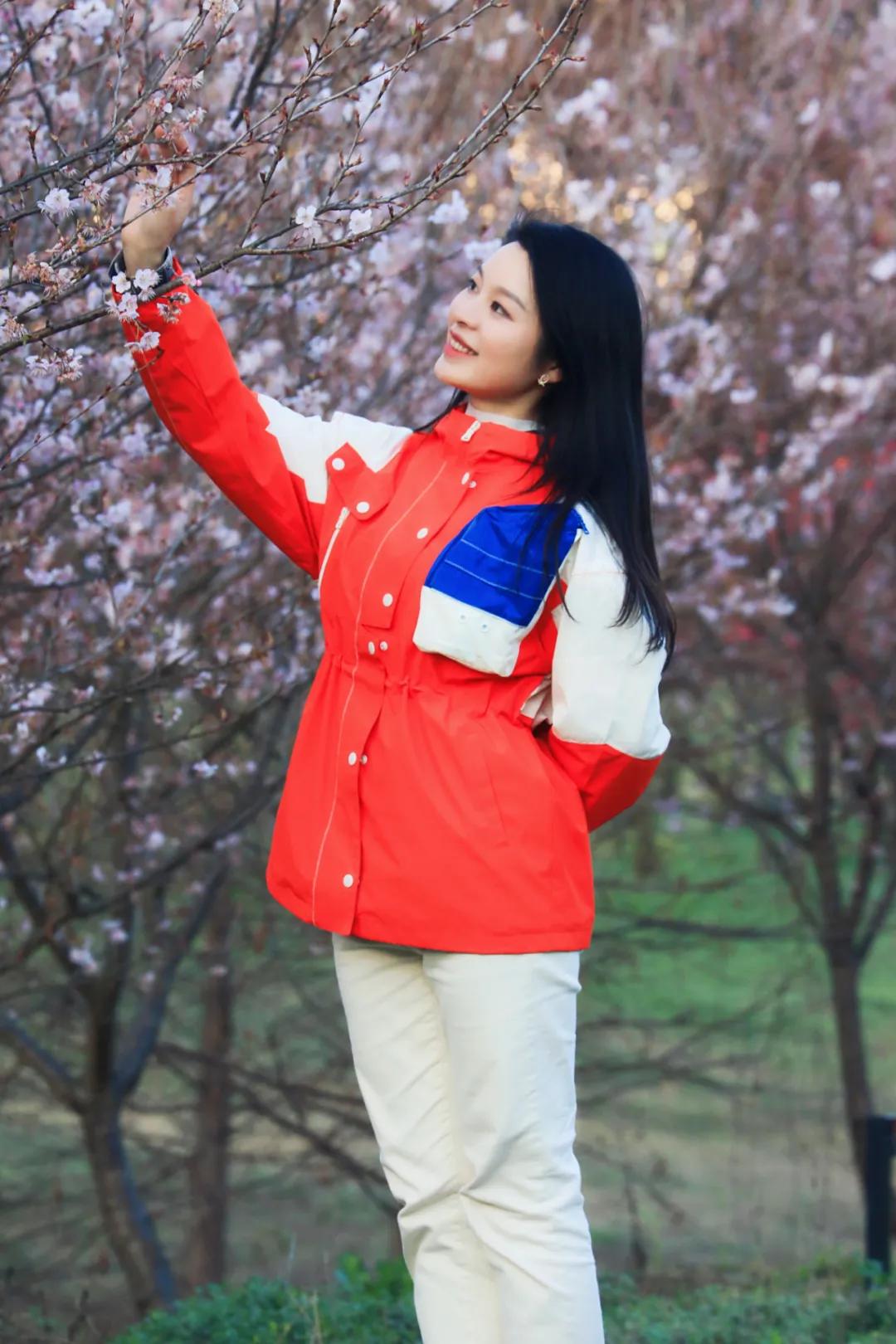 好嗨“游”（11）|这一片早樱还不去赏，错过又得等一年